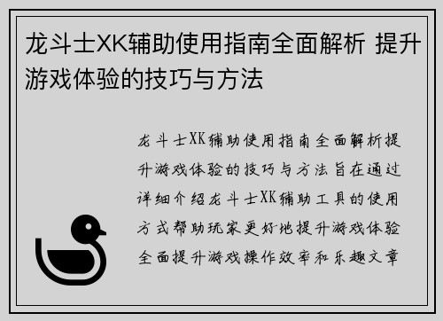 龙斗士XK辅助使用指南全面解析 提升游戏体验的技巧与方法